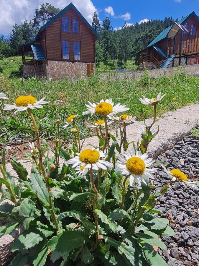 Vikendice Itana Žabljak Exterior foto
